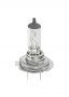 Osram OSRAM-Lampe, H7, 12V/55W, PX26d, 1 St. im Karton